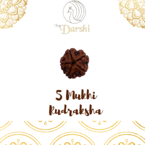 natural 4 mukhi rudraksha bead | original panchmukhi rudraksha for meditation & positivity