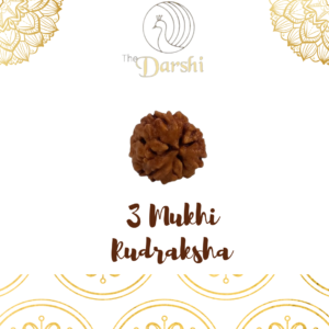 natural 4 mukhi rudraksha bead | original panchmukhi rudraksha for meditation & positivity