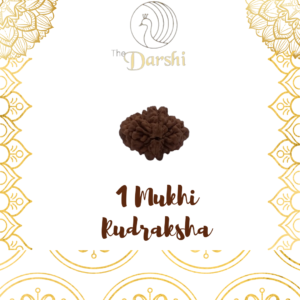 natural 4 mukhi rudraksha bead | original panchmukhi rudraksha for meditation & positivity