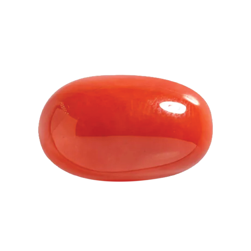 Natural Red Coral Gemstone